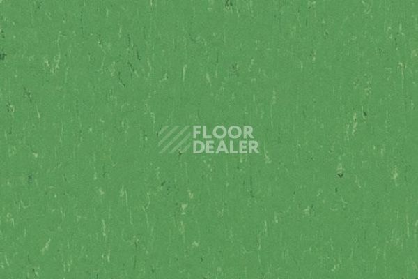 Линолеум Marmoleum Solid Piano 3647-364735 nettle green фото 1 | FLOORDEALER